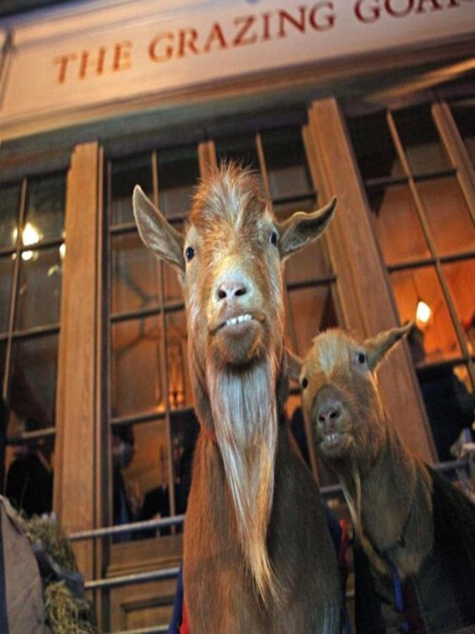 The Grazing Goat Hotel London Kültér fotó